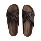 Sage - Brown